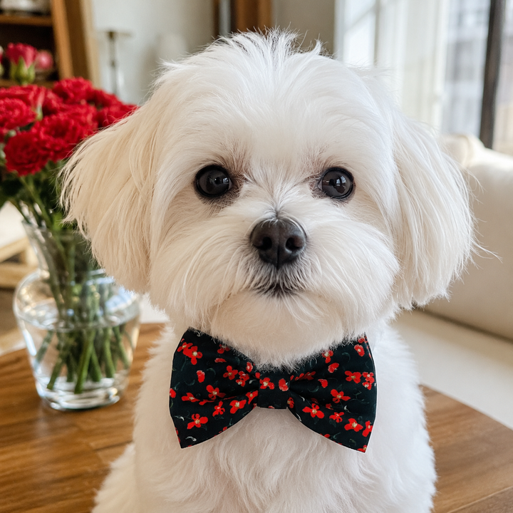 Rosé Reverie Bow Tie