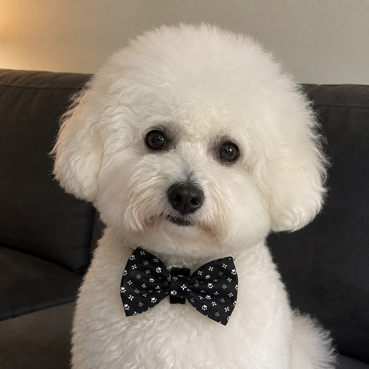 Black Diamond Bow Tie