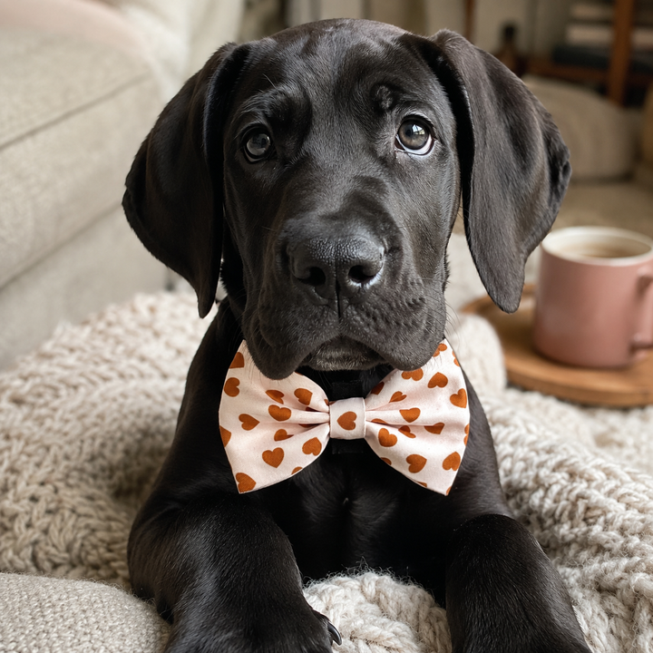 Woof You Bow Tie