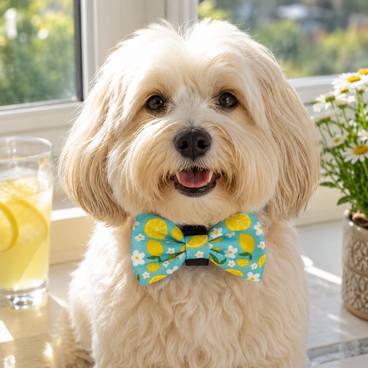Sunny Citrus Bloom Bow Tie