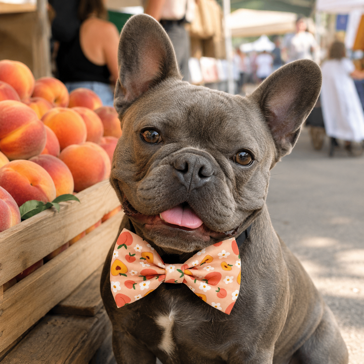 Peachy Bloom Bow Tie