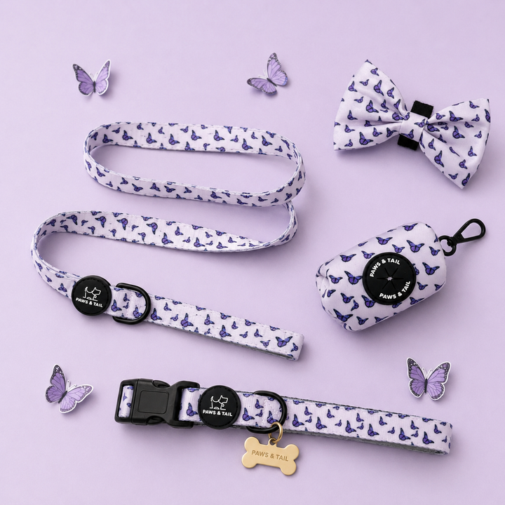 Violet Wings Leash