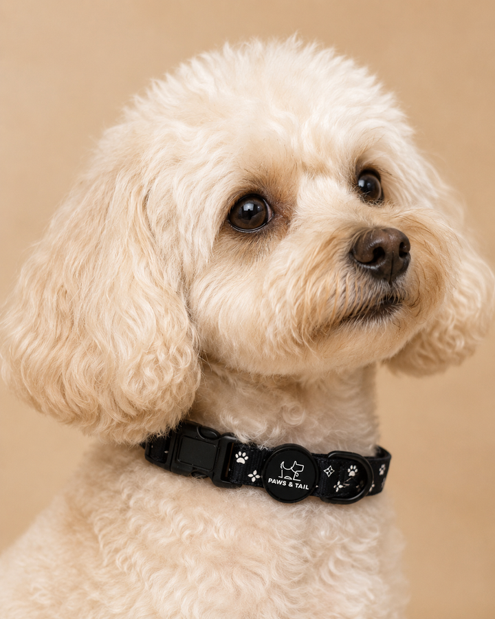 Black Diamond Collar