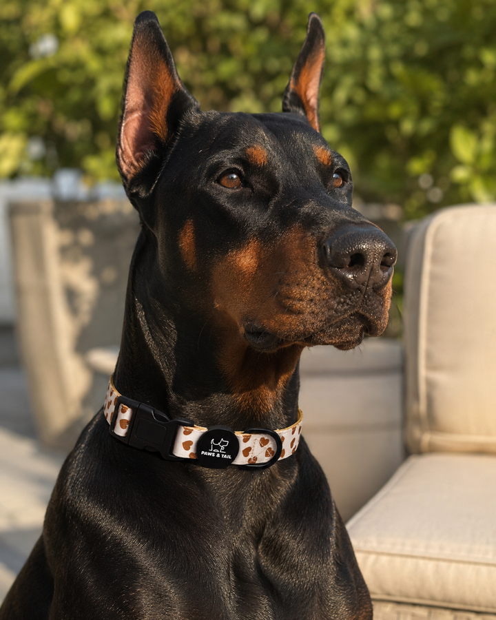 Woof You Collar