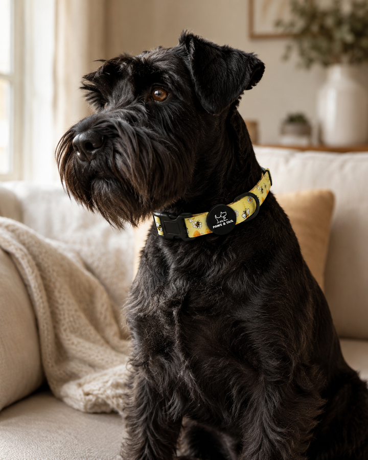 Bee Happy Collar
