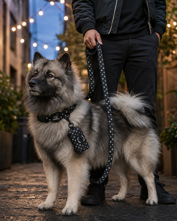 Black Diamond Collar