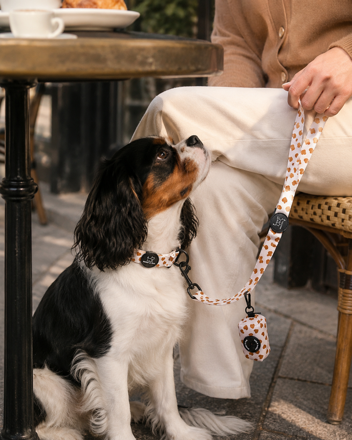 Woof You Collar Set