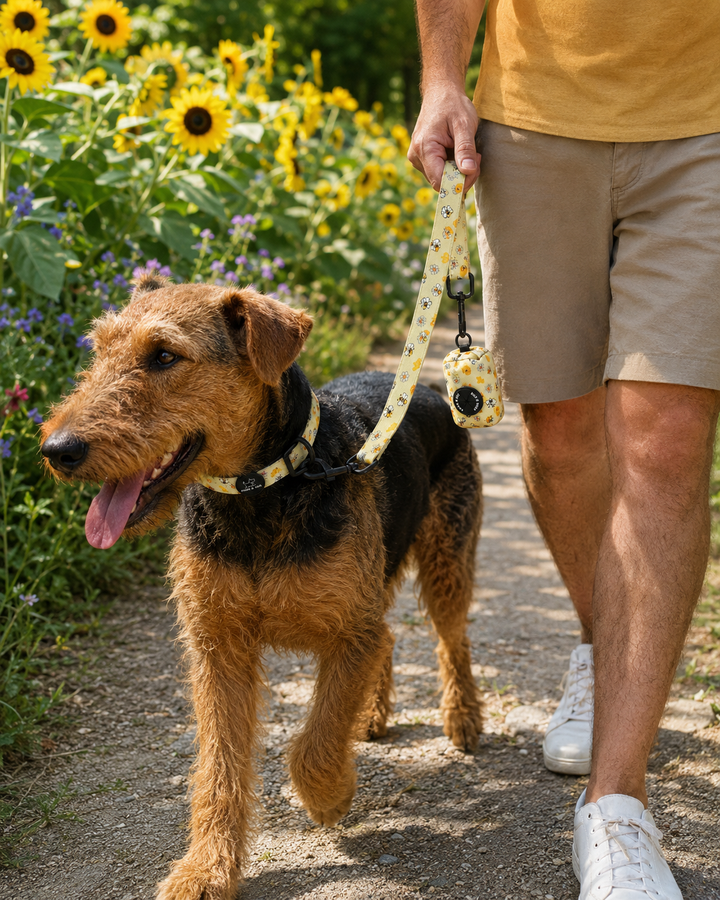 Bee Happy Collar Set