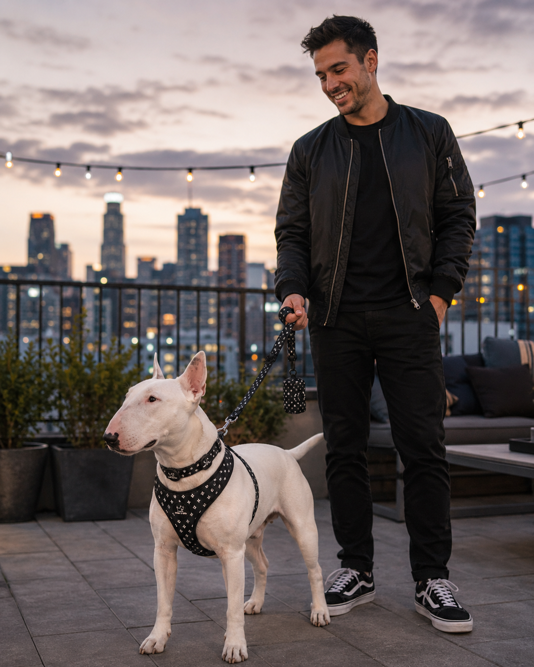 Black Diamond Harness Walk Set