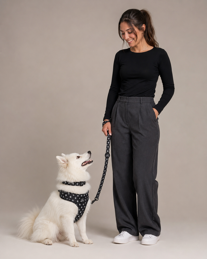 Black Diamond Harness Walk Set