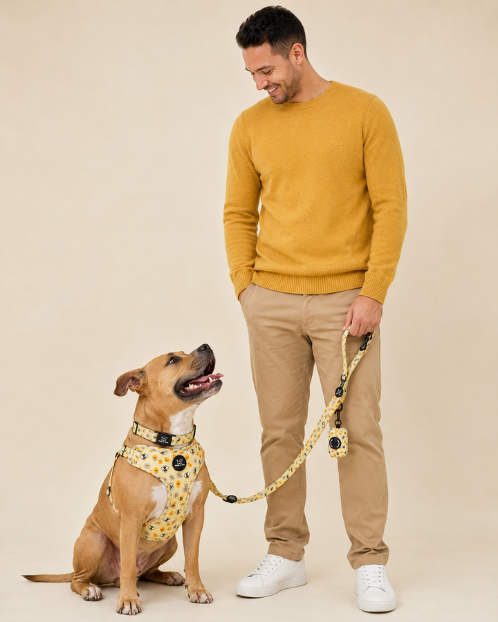 Bee Happy Harness Walk Set
