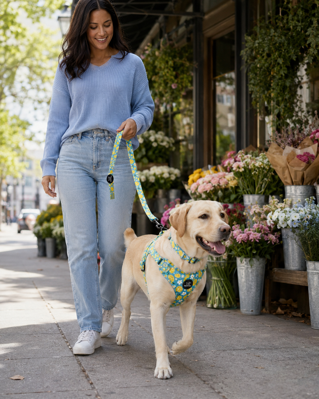 Sunny Citrus Bloom Harness Walk Set