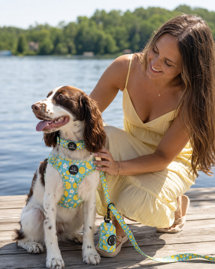 Sunny Citrus Bloom Harness Walk Set