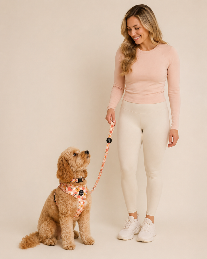 Peachy Bloom Harness Walk Set