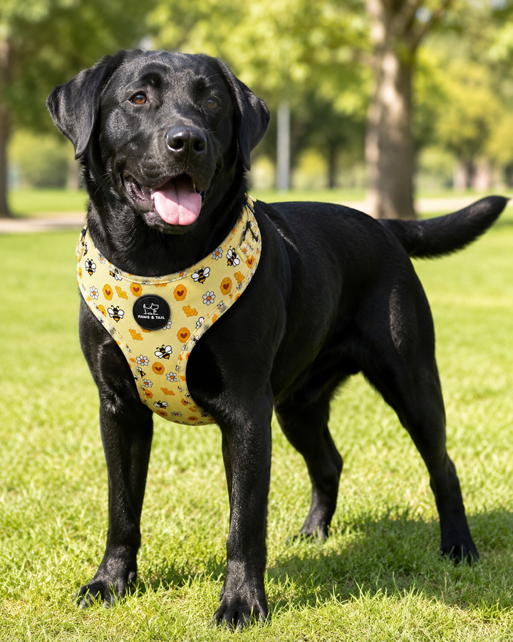 Bee Happy Harness