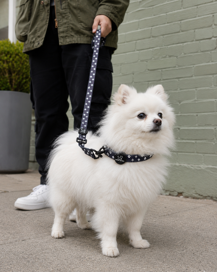 Black Diamond Leash