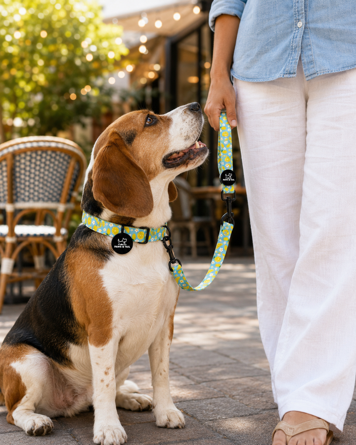 Sunny Citrus Bloom Leash