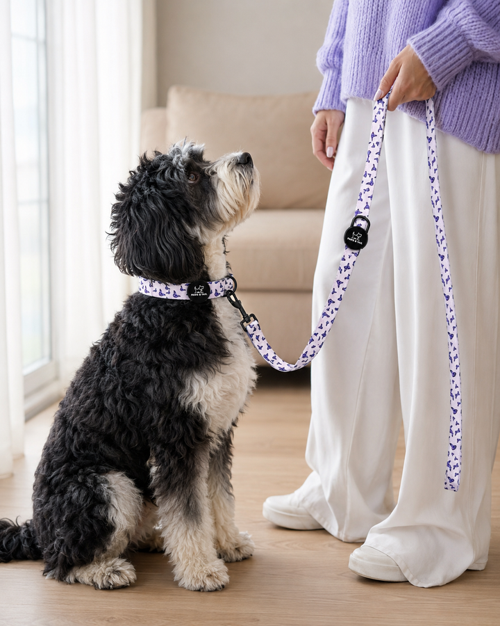 Violet Wings Leash