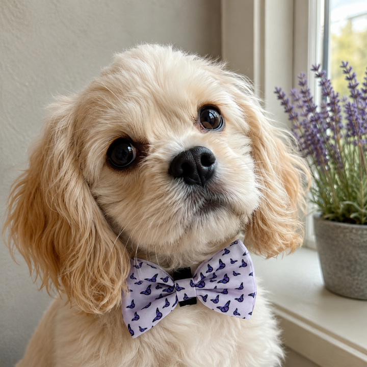Violet Wings Bow Tie