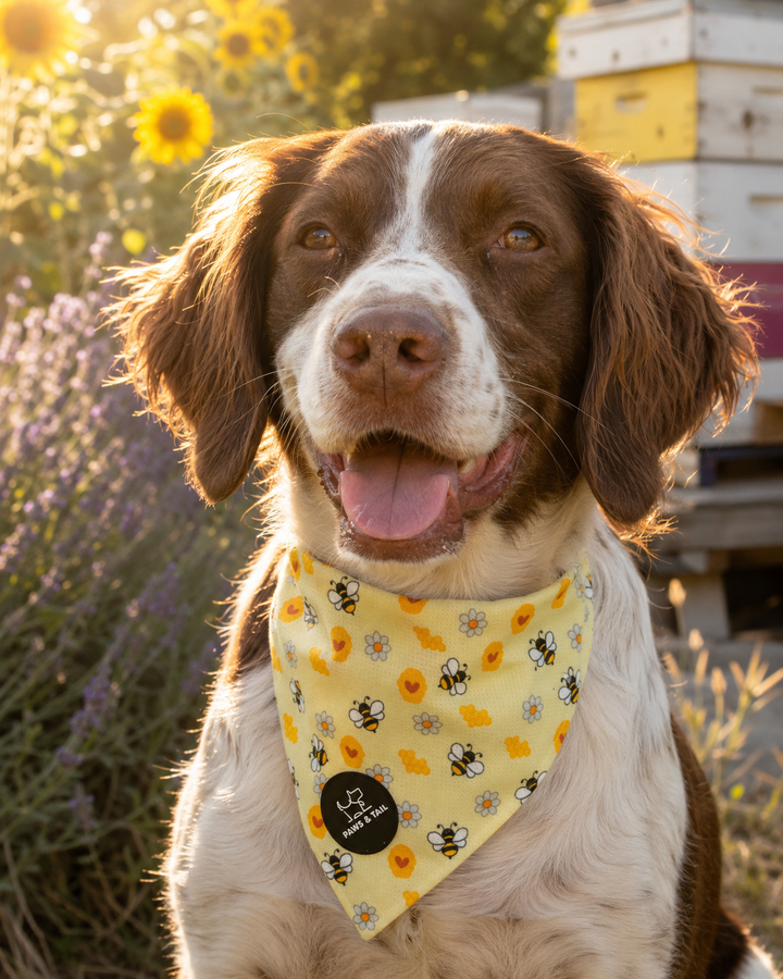 Bee Happy Bandana